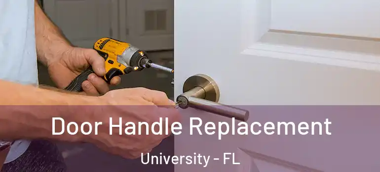 Door Handle Replacement University - FL