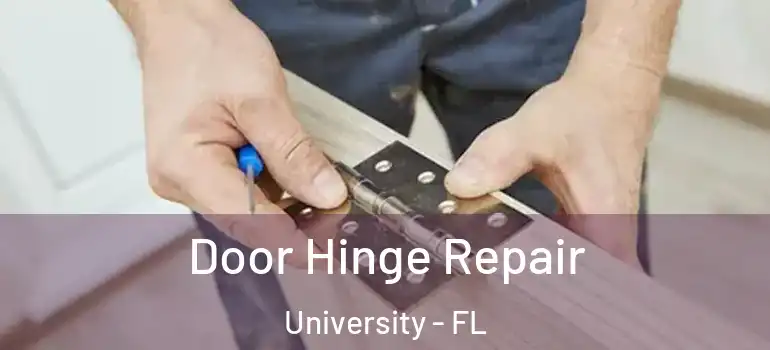 Door Hinge Repair University - FL