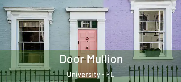 Door Mullion University - FL