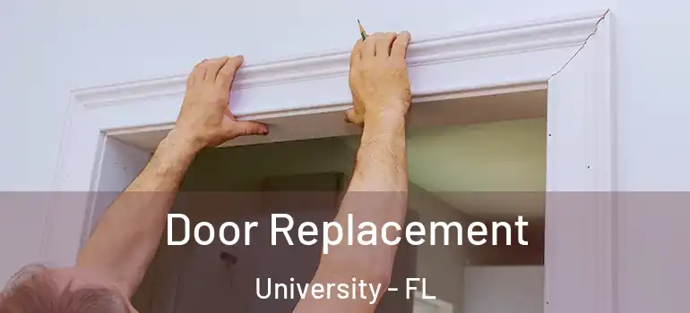 Door Replacement University - FL
