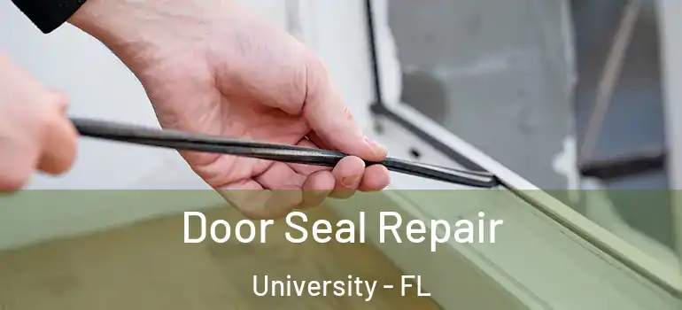 Door Seal Repair University - FL