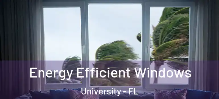 Energy Efficient Windows University - FL