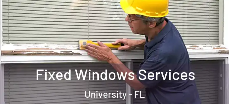 Fixed Windows Services University - FL