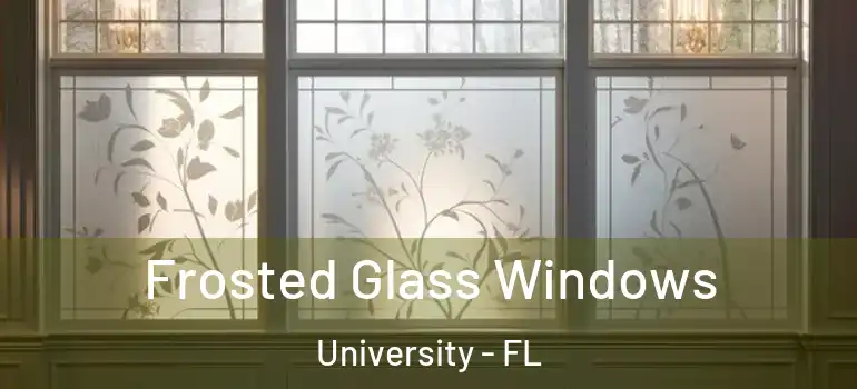 Frosted Glass Windows University - FL