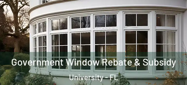 Government Window Rebate & Subsidy University - FL