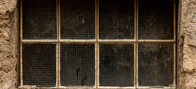Traditional Double Front Doors in University, FL