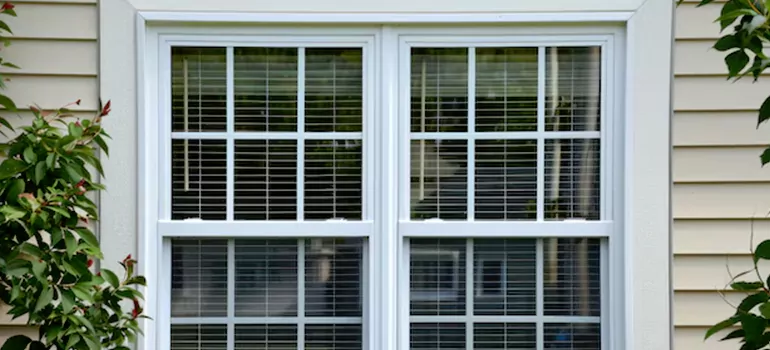 Custom Double Hung Windows in University, FL
