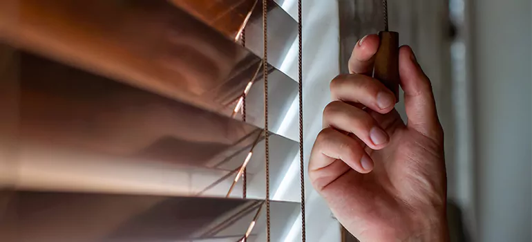 Double Roller Blinds in University, FL