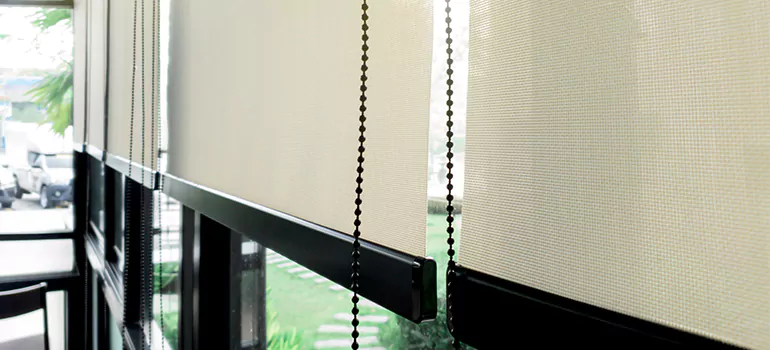 Blackout Window Shades in University, FL