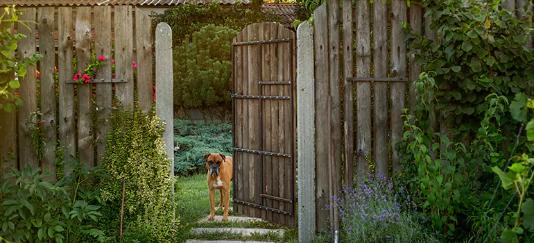 Winter Garden Garage Door Repair in University,[location field=state]