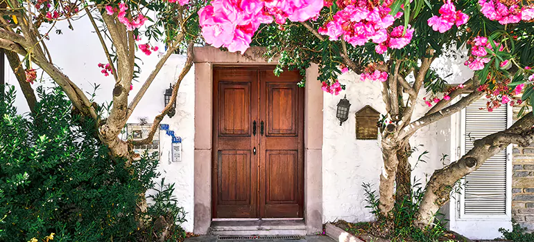 Traditional 4 Panel Internal Doors in University, FL