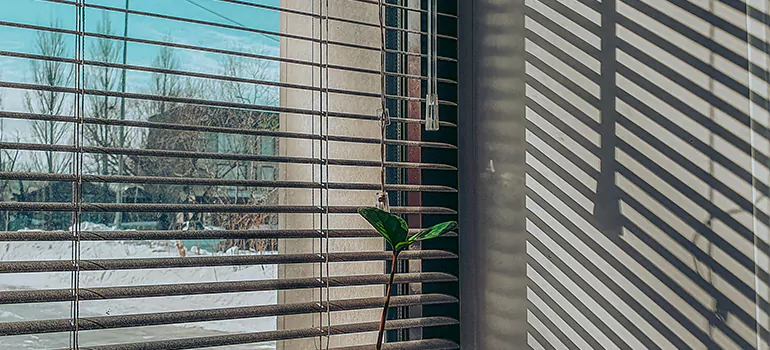 Commercial Window Blinds in University, FL