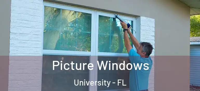 Picture Windows University - FL