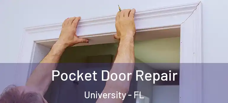 Pocket Door Repair University - FL