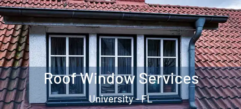 Roof Window Services University - FL