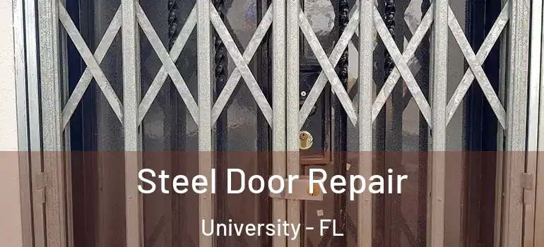 Steel Door Repair University - FL