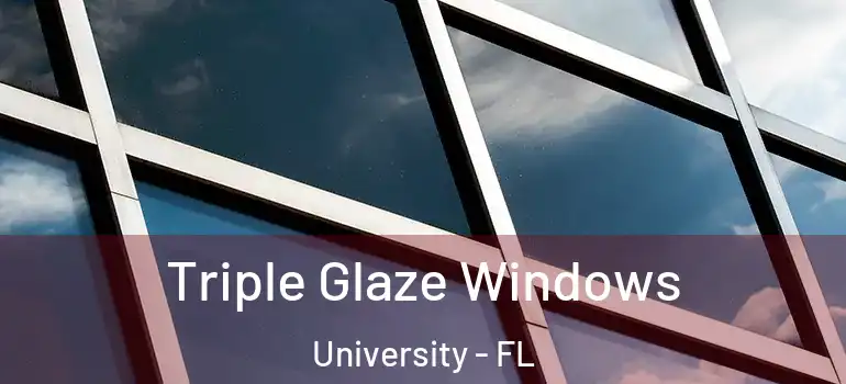 Triple Glaze Windows University - FL