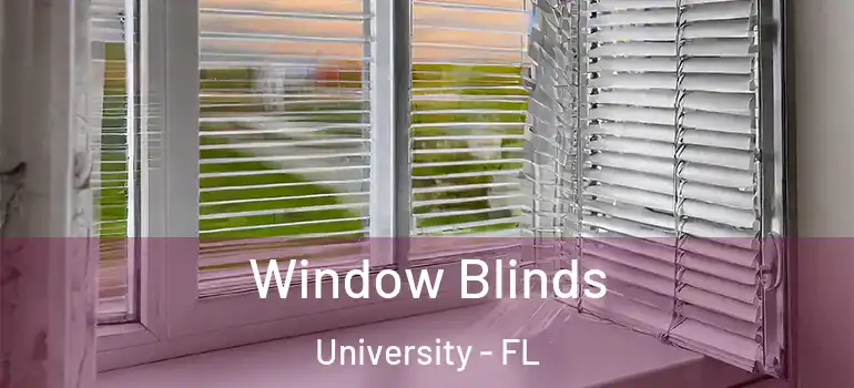 Window Blinds University - FL