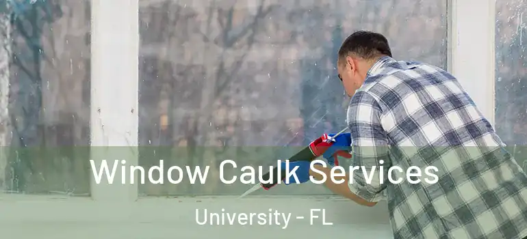  Window Caulk Services University - FL