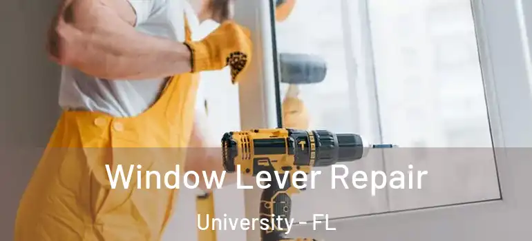 Window Lever Repair University - FL