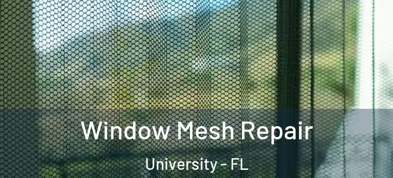 Window Mesh Repair University - FL