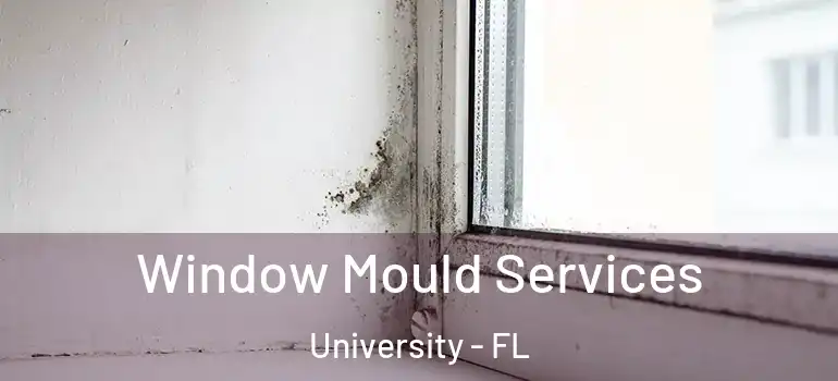 Window Mould Services University - FL