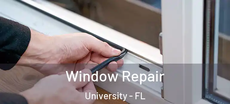 Window Repair University - FL