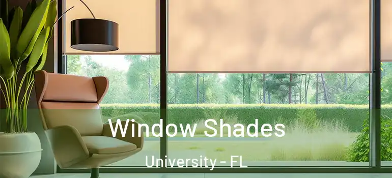 Window Shades University - FL